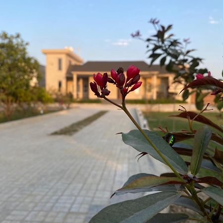 Haven Farmstays Amritsar Eksteriør billede